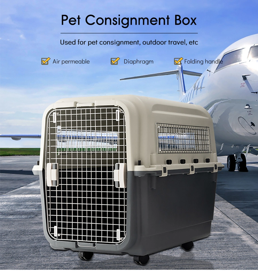 Airline Approved Plastic Crate for Large Dog and Cat Air Box