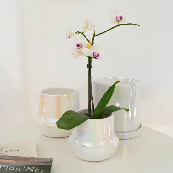 China Fabricante Ins Amazon Venda quente Decoração de casamento Plantadores Pote de cerâmica pérola branca vitrificada orquídea